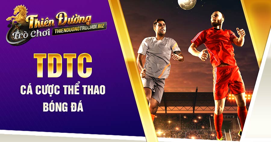 Cá độ bóng đá cực hay tại cổng game Thiên Đường Trò Chơi